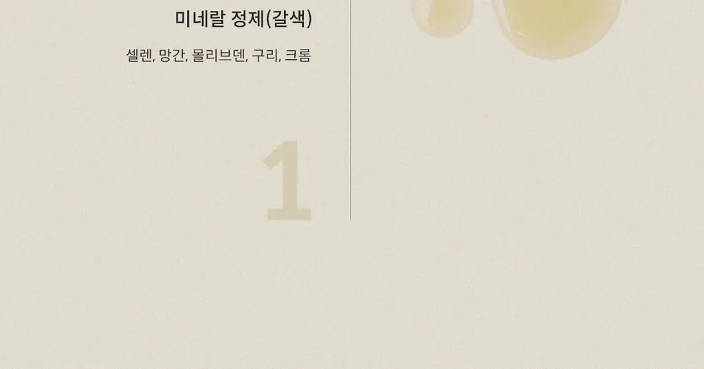 [비타민&미네랄] 위아바임 이뮨 바이탈 솔루션 7개입 (7일분) 상세페이지 17